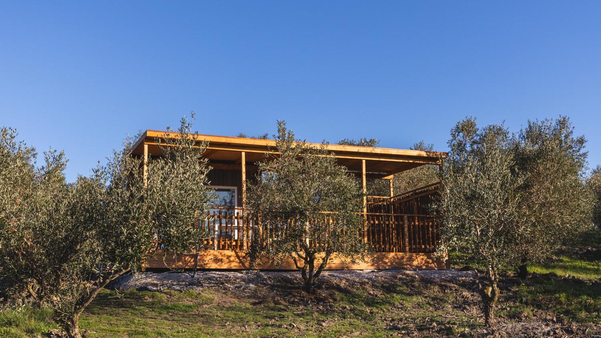 Alojamento de Turismo Rural Le Fraine - & Olives Glamping Santa Luce